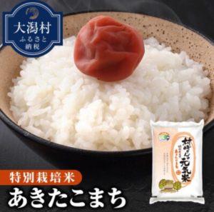 大潟村